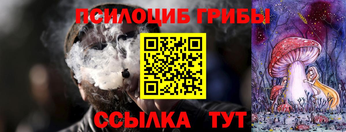 Галлюциногенные грибы мицелий  Вход с VPN  Мурино 