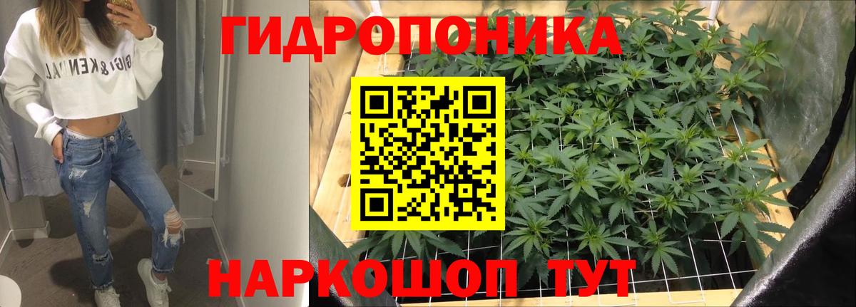 МАРИХУАНА планчик  Вход с VPN  Каннабис индика  Конопля Bruce Banner  Мурино 